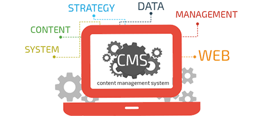 custom cms website development